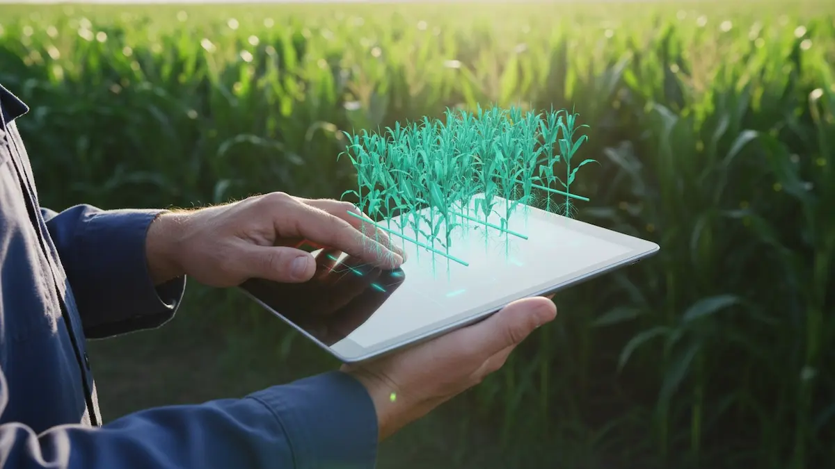 Close-up realista das mãos de um agricultor segurando um tablet moderno em um campo de milho, com uma projeção digital detalhada da lavoura na tela, simbolizando a tecnologia de gêmeos digitais.
